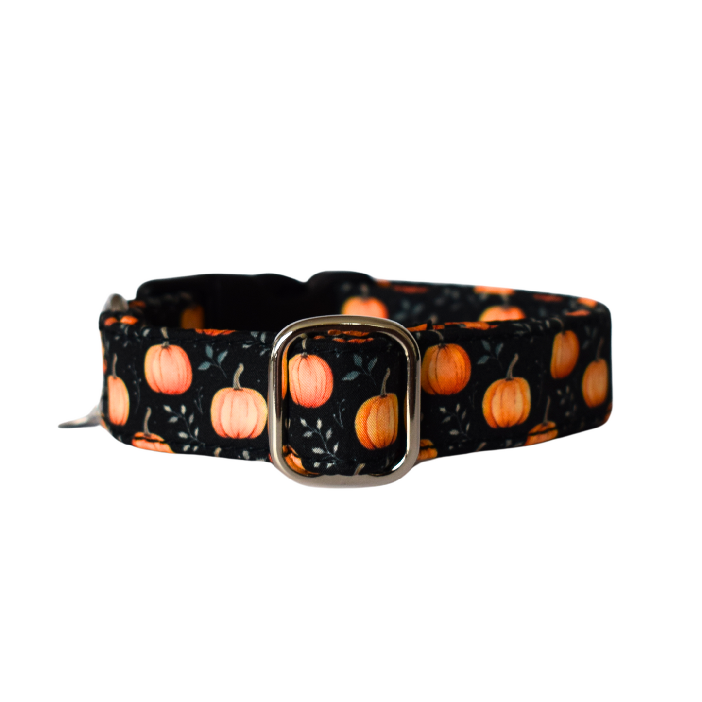 Obojek Pumpkin