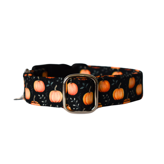 Obojek Pumpkin